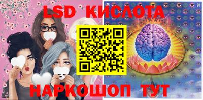 дмт Краснодар