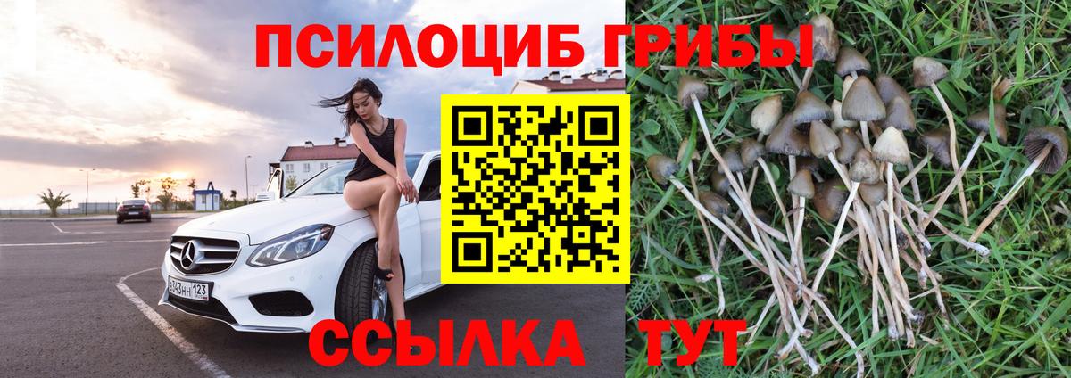 Галлюциногенные грибы мухоморы  Вход с VPN  Галлюциногенные грибы прущие грибы  Азов 