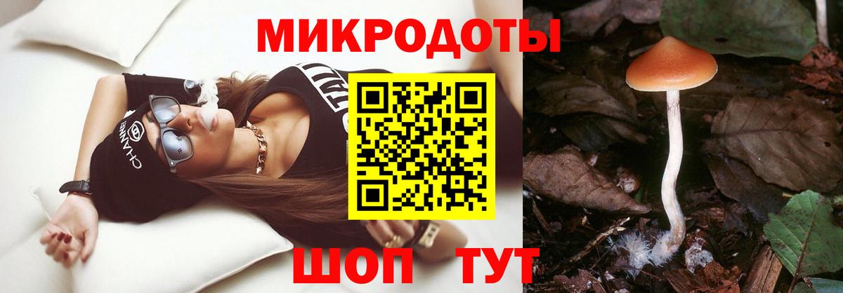Псилоцибиновые грибы мухоморы Азов